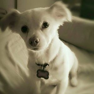 Meet your Posher, Marianne